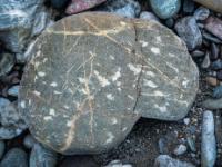 Graubrauner Stein mit weißen Flecken und gelblicher Maserung